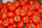 ntomates